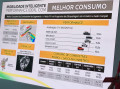 Comparativos Kicks X Concorrentes